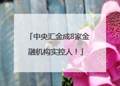 中央汇金成8家金融机构实控人！